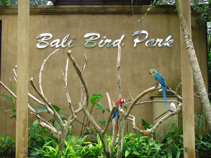 Bali Bird Park- سواق بالي