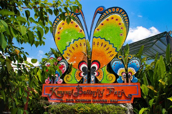 Butterfly Park Bali- سواق بالي اندونيسيا  – سائق باني