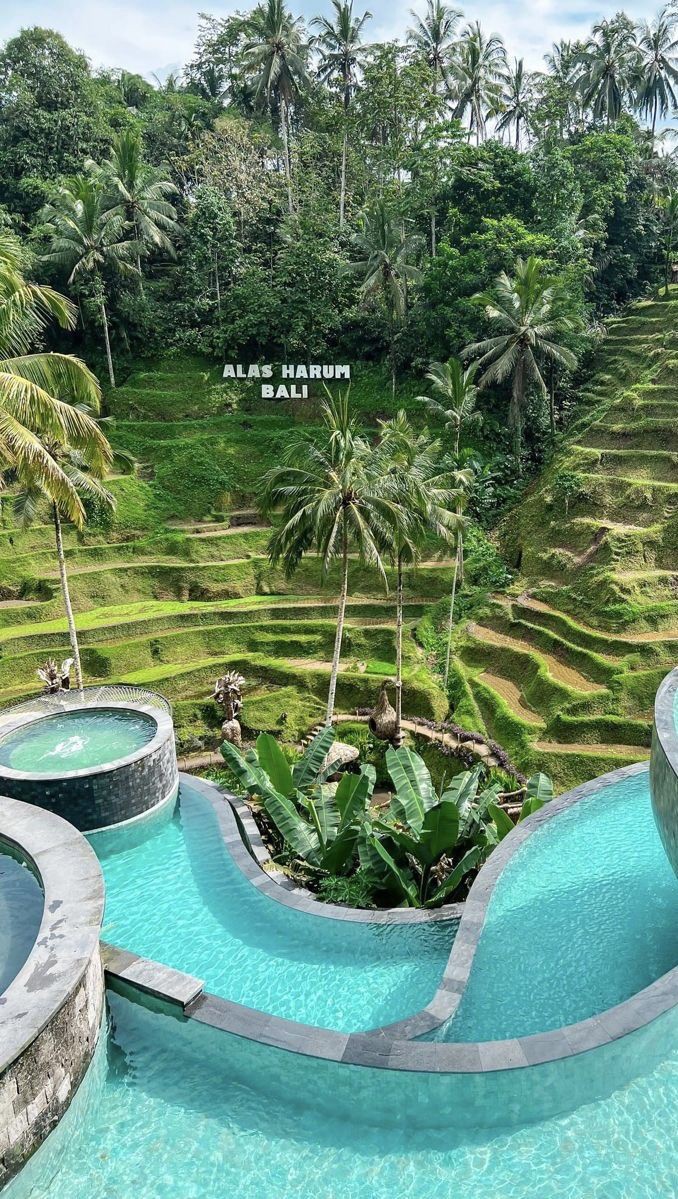 Alas Harum Bali – سواق بالي